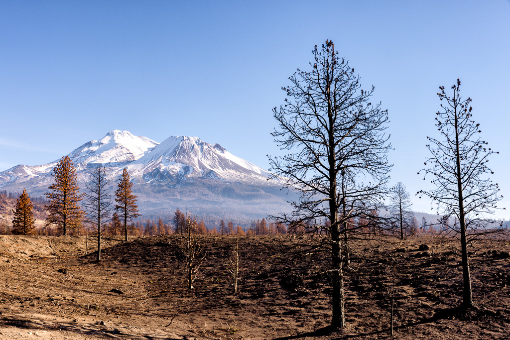 4G4A8515-Edit.jpg