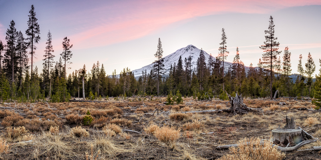 4G4A8597-Pano-Edit.jpg